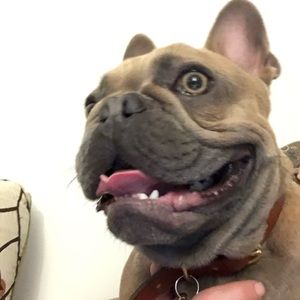 Meet your Posher, Meydan